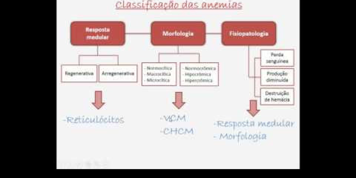 Kidney Function Tests: Types, Results & Follow Up