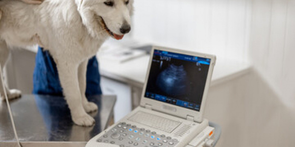 Diagnostic laboratories The Queen's Veterinary School Hospital