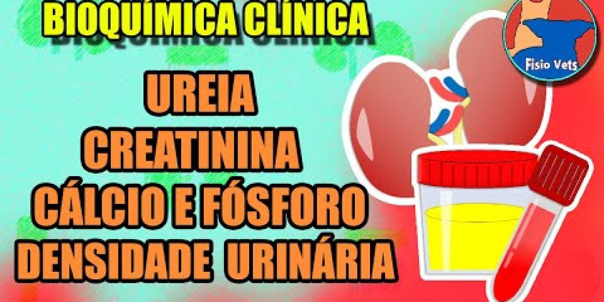 Cómo identificar y tratar la tos en perros: señales de alarma para preocuparte Svgm, la web de los animales