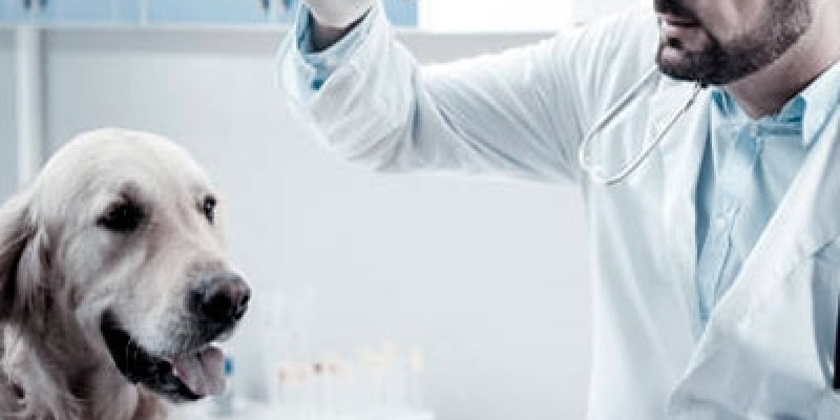 Polycystic Kidney Disease PKD1 Veterinary Genetics Laboratory