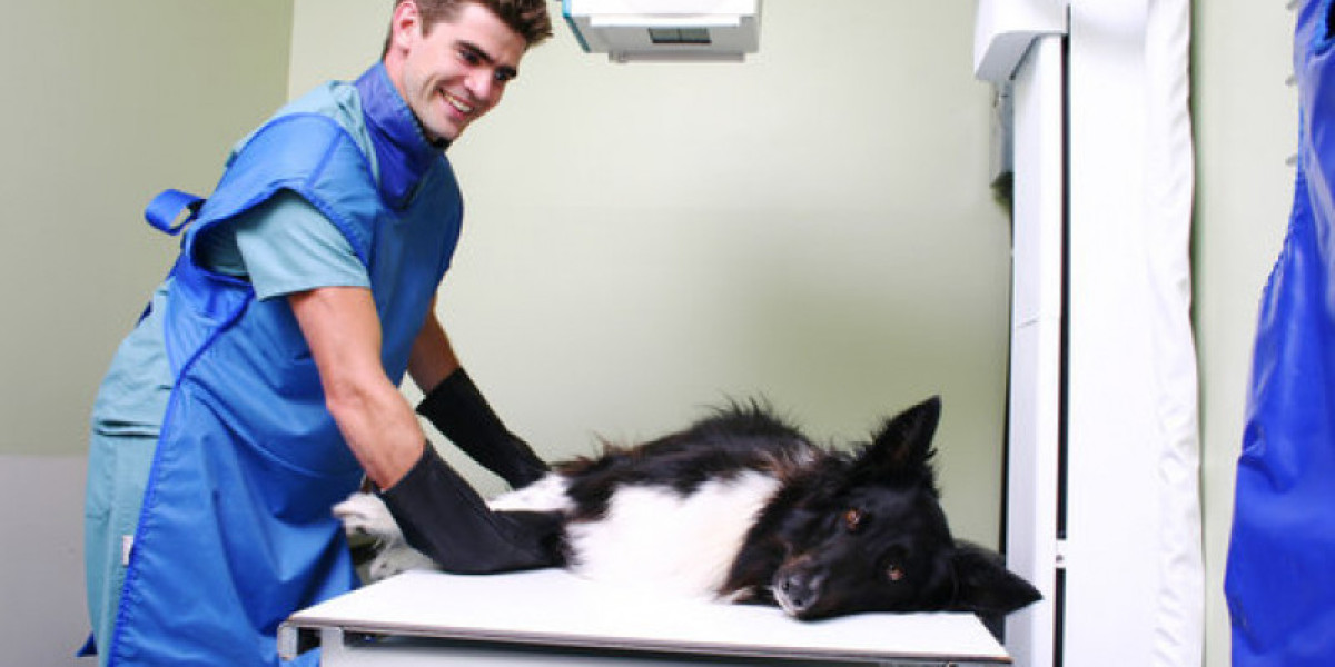 El hospital veterinario más grande de Euskadi está en Bizkaia