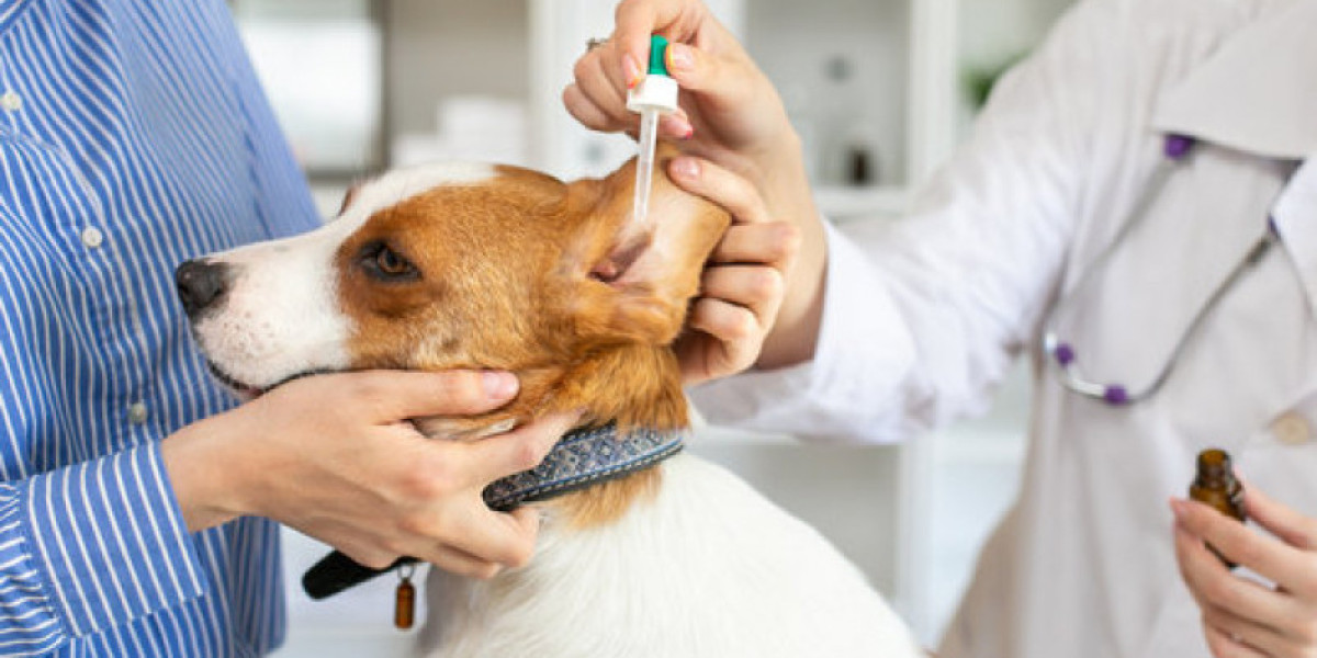 Canine Thyroid Testing Cornell University College of Veterinary Medicine