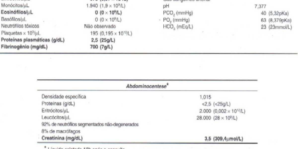 How Much Does a Vet Visit Cost? Average Pricing By Procedure