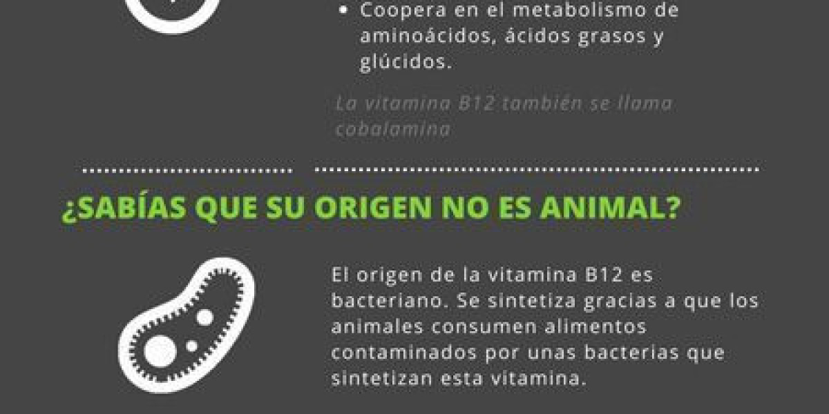 Ácido Fólico: Qué Es Y Sus Efectos En El Organismo Farmacia Angulo