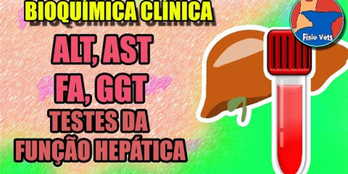 ¿Cuánto cuesta una ecografía para un perro? Análisis comparativo de clínicas veterinarias