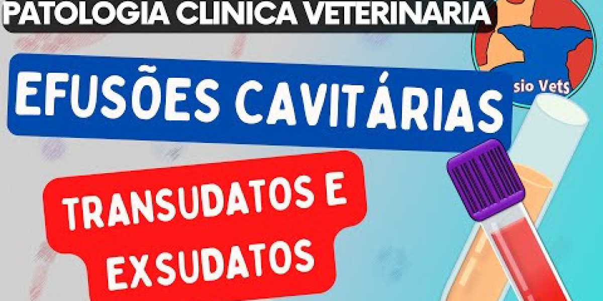 Baremos de Precios en Clínica Veterinaria 2024