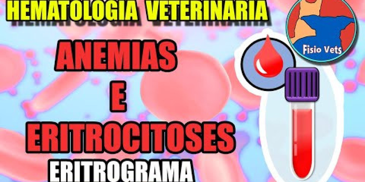 "¡Descubre cuánto cuestan las radiografías para perros y cómo ahorrar dinero en ellas!"