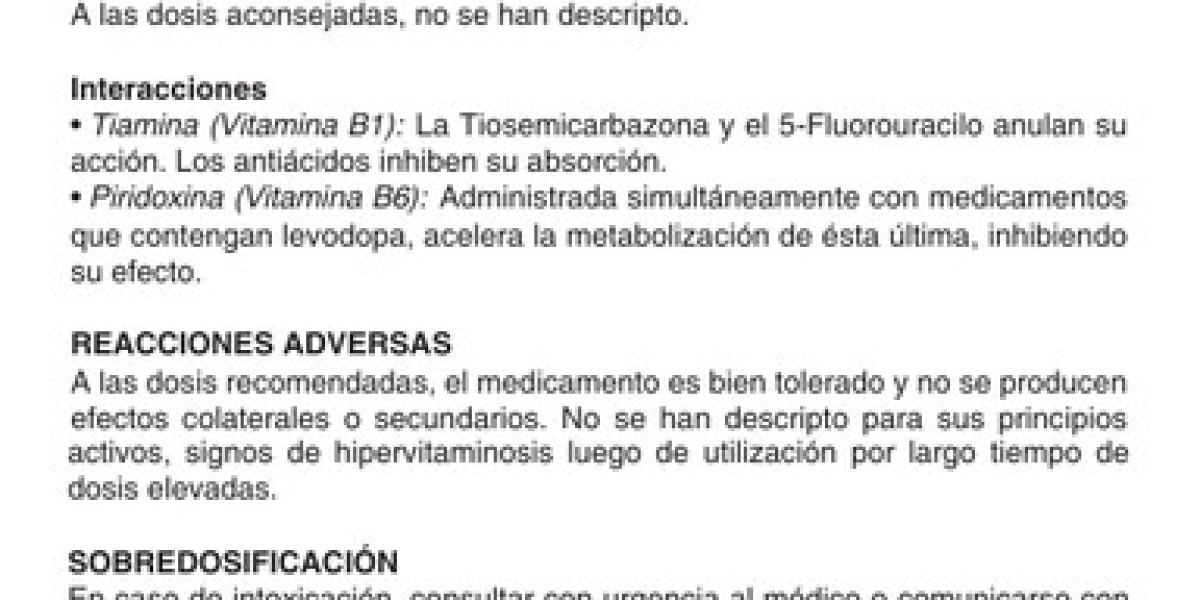 Qué es la ruda y para qué sirve: las propiedades de esta planta medicinal, sus contraindicaciones y cómo prepararla