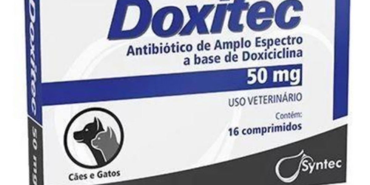 Cuánto cuesta una visita al veterinario: precios por servicio